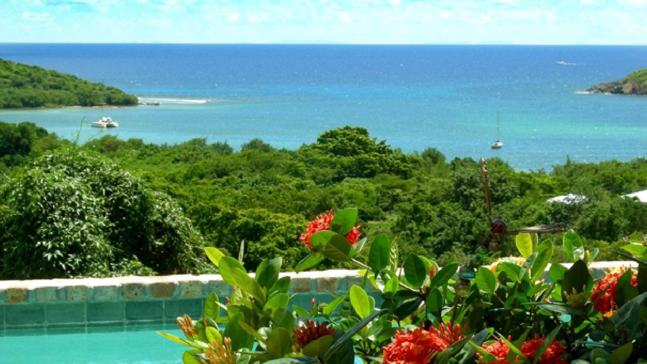 Photo of Outdoor in Fish Bay