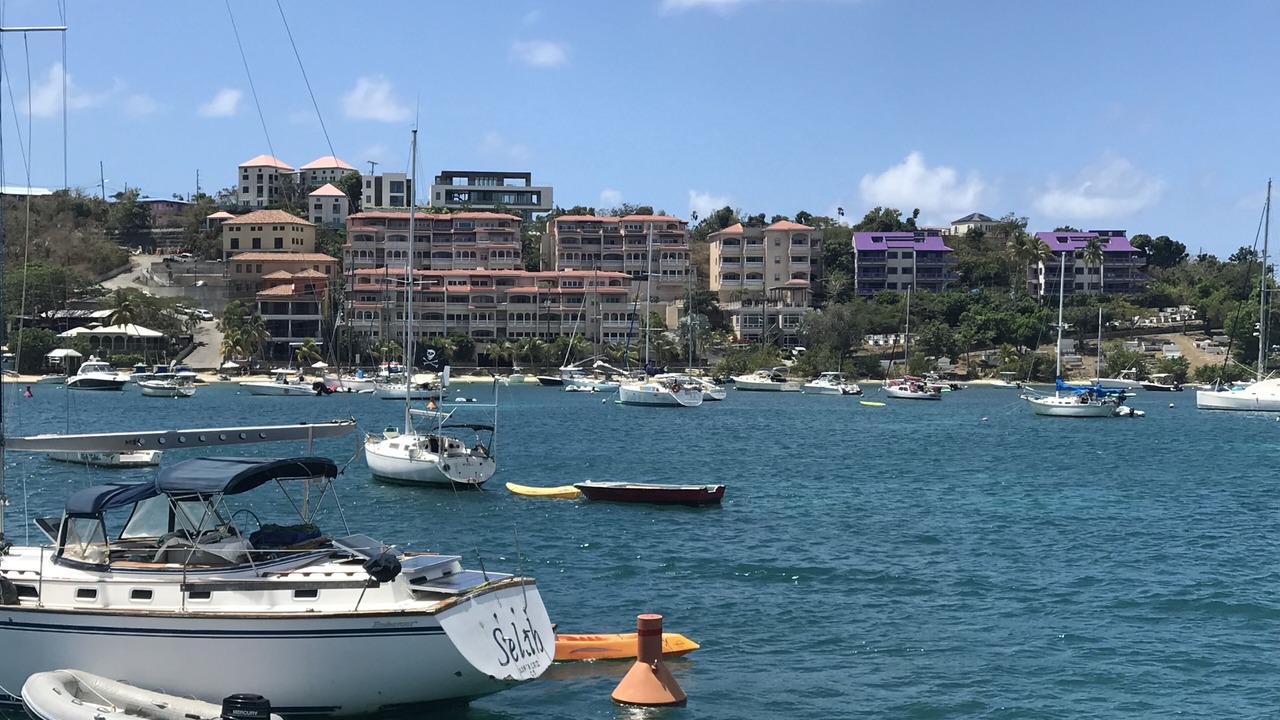 Photo of Others in Great Cruz Bay