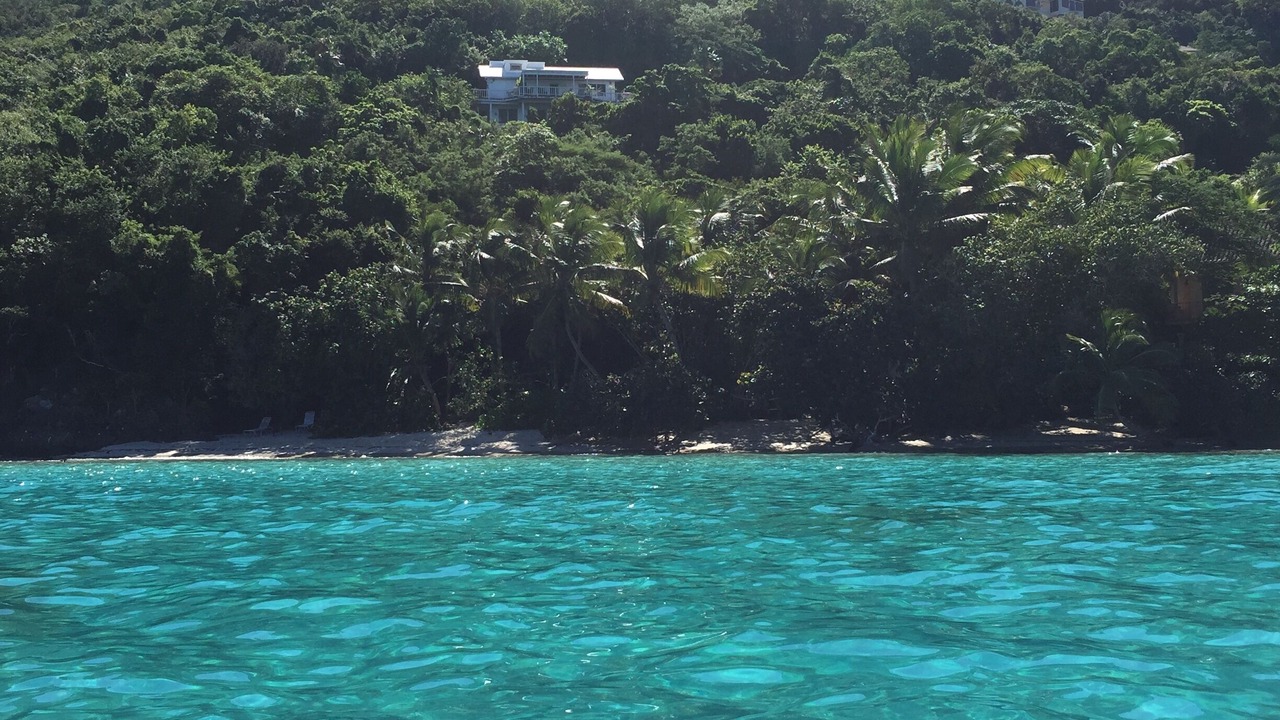Photo of Others in Maho Bay Quarter