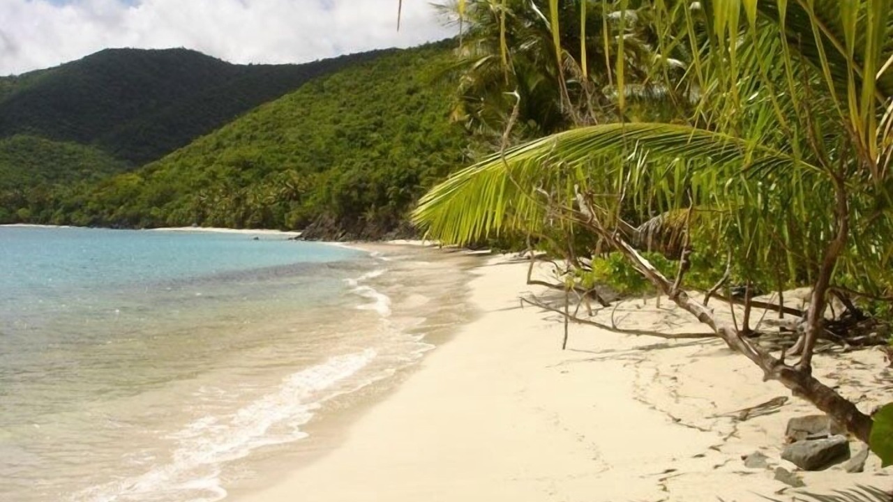 Photo of Others in Maho Bay Quarter