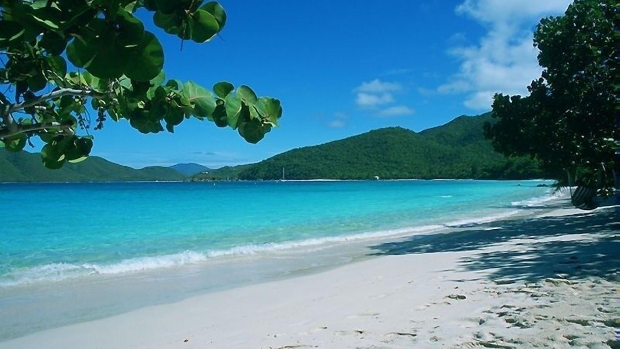 Photo of Others in Maho Bay Quarter