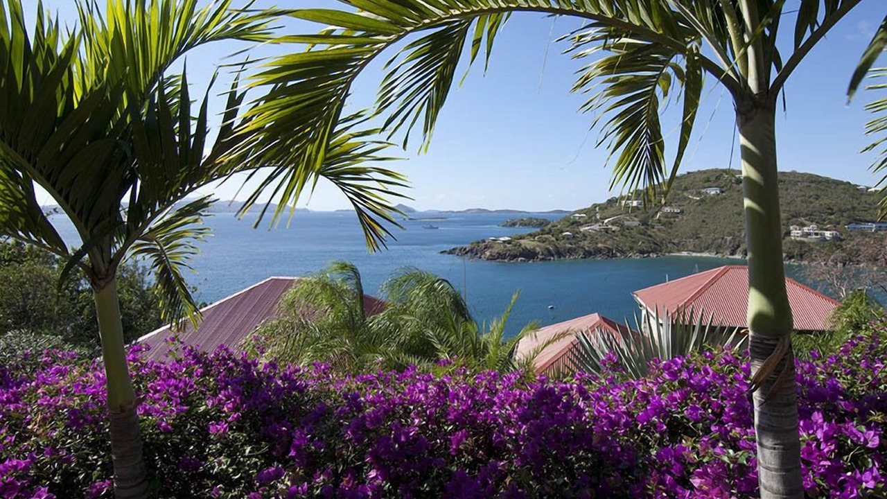 Photo of Others in Estate Chocolate Hole and Great Cruz Bay