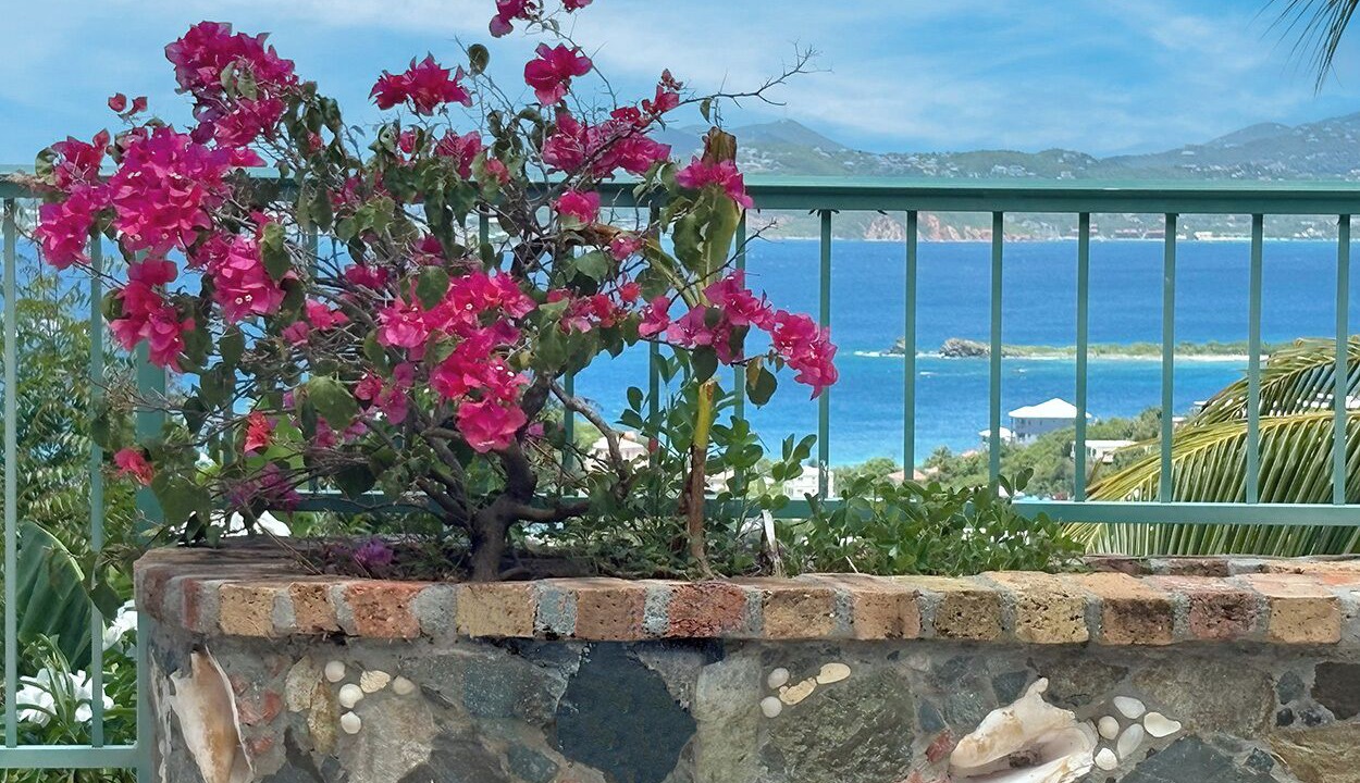 Photo of Outdoor in Estate Bethany