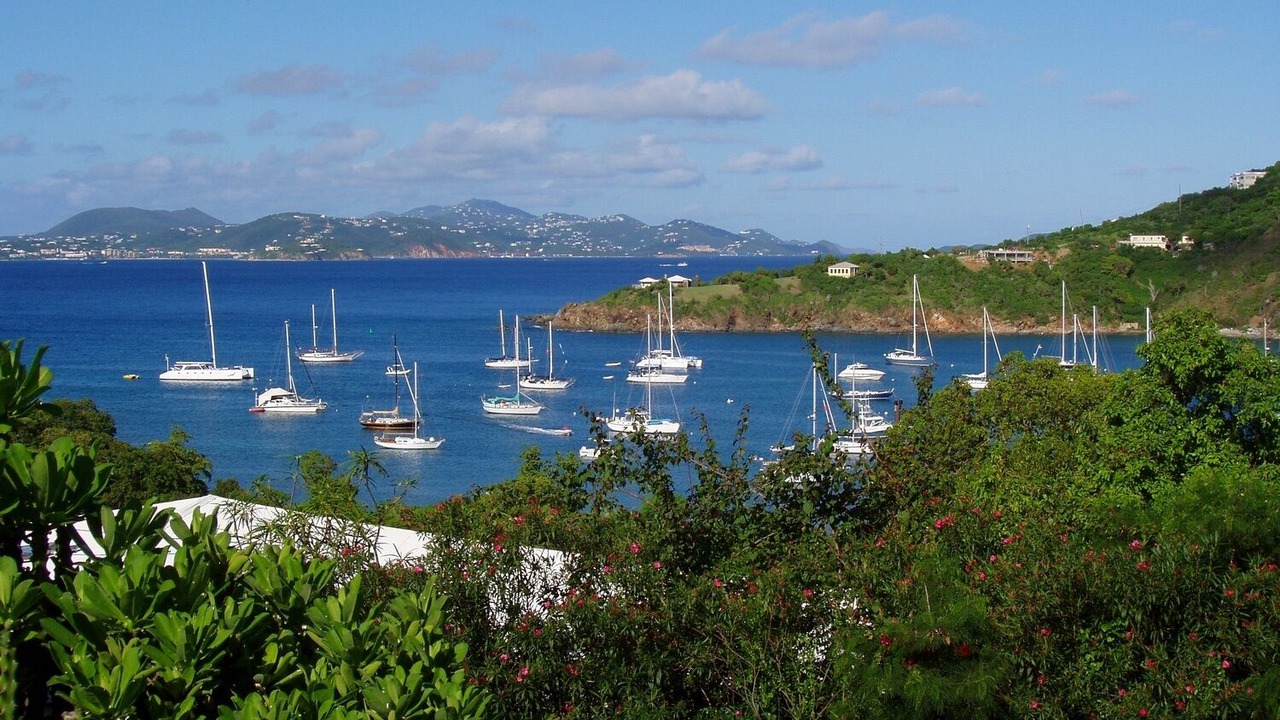 Photo of Others in Estate Chocolate Hole and Great Cruz Bay