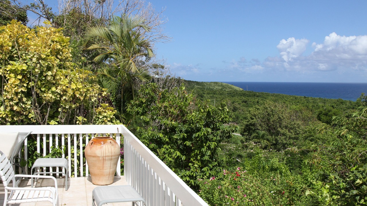 Photo of Outdoor in Estate Morning Star South