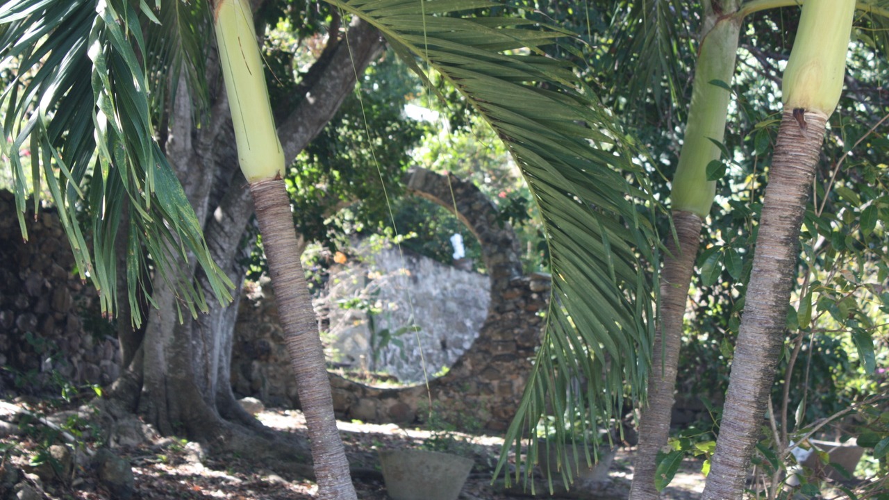 Photo of Outdoor in Estate Morning Star South