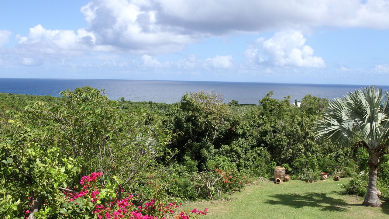 Photo of Outdoor in Estate Morning Star South