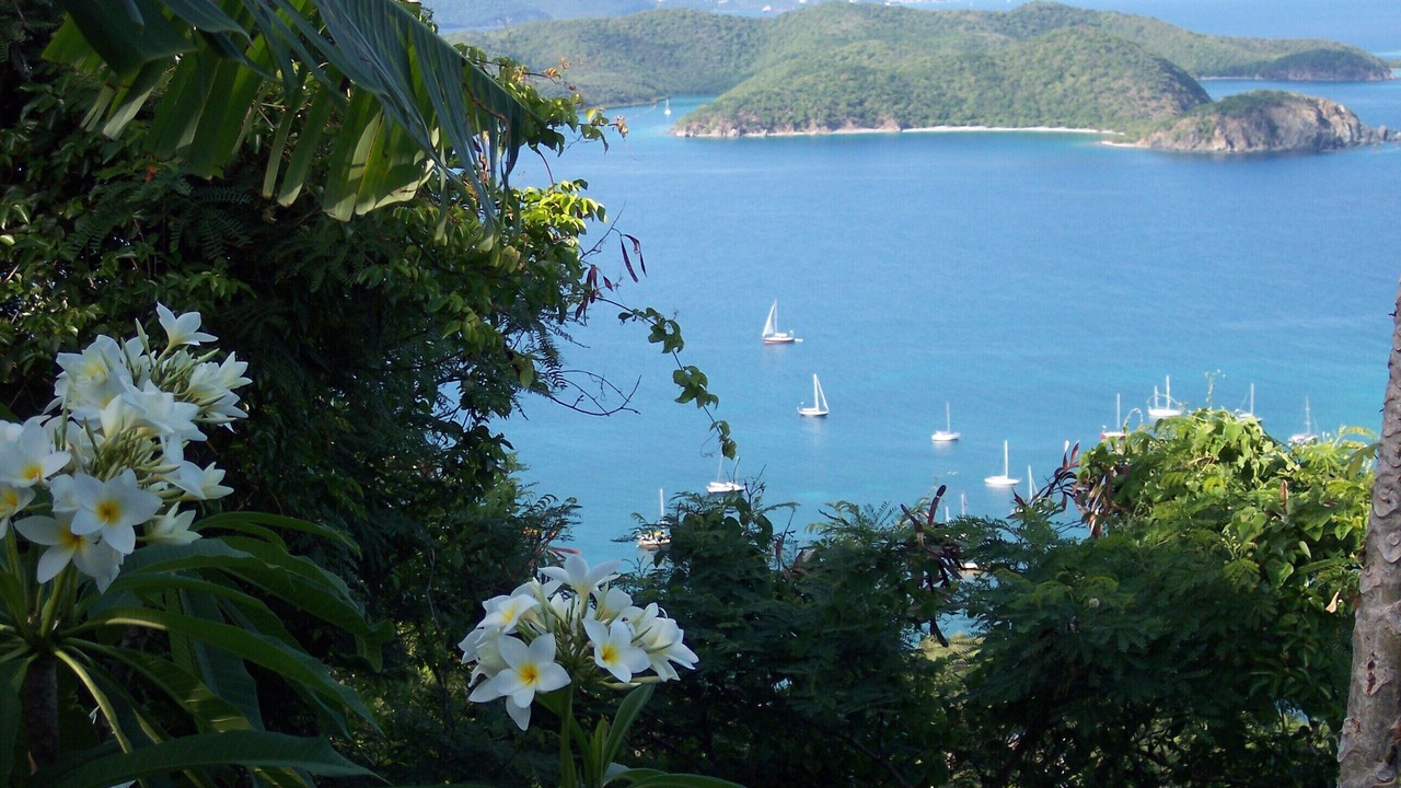 Photo of Others in Johnson Bay