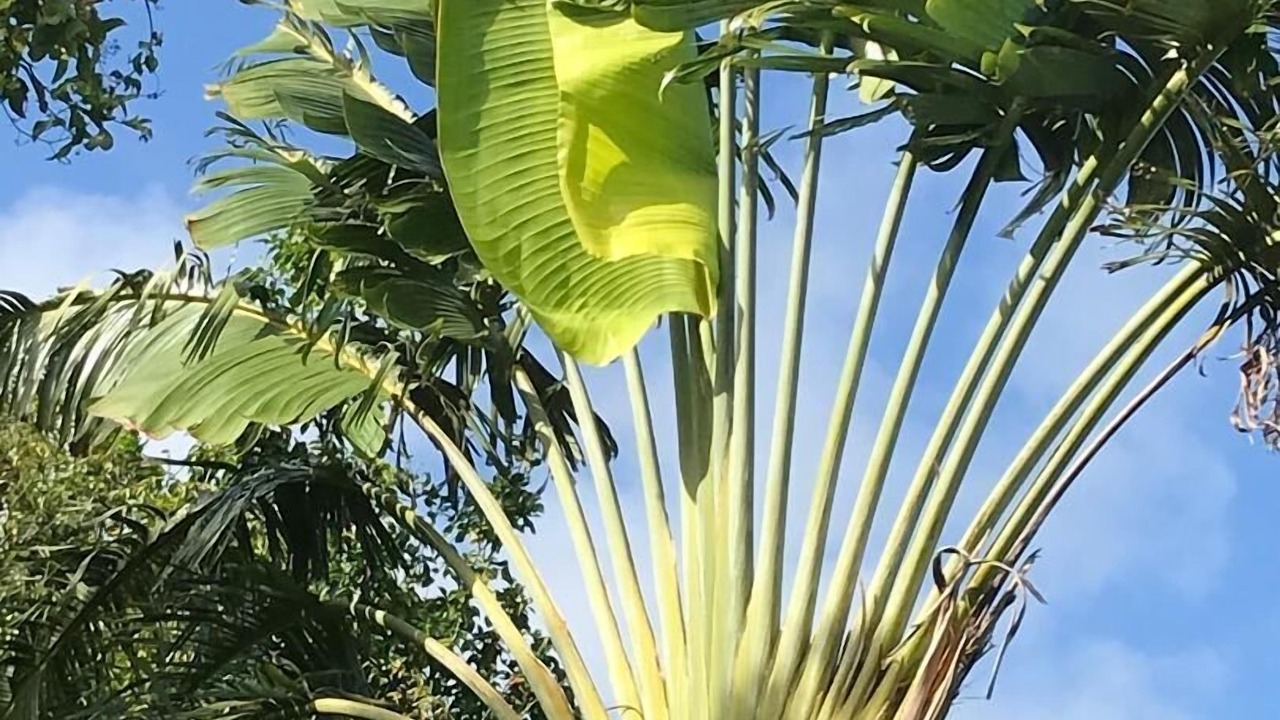 Photo of Outdoor in Johnson Bay