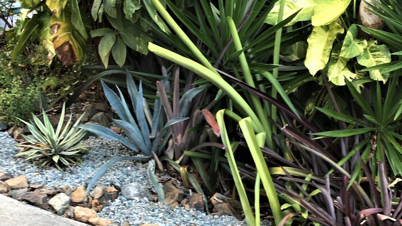 Photo of Outdoor in Johnson Bay