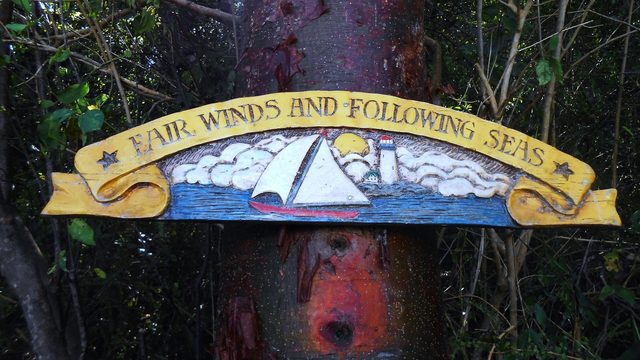 Photo of Others in Johnson Bay