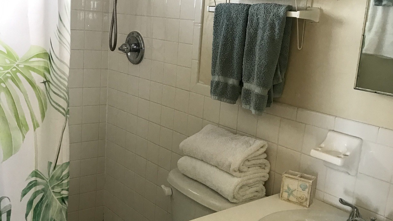 Photo of Bathroom in Estate Bolongo