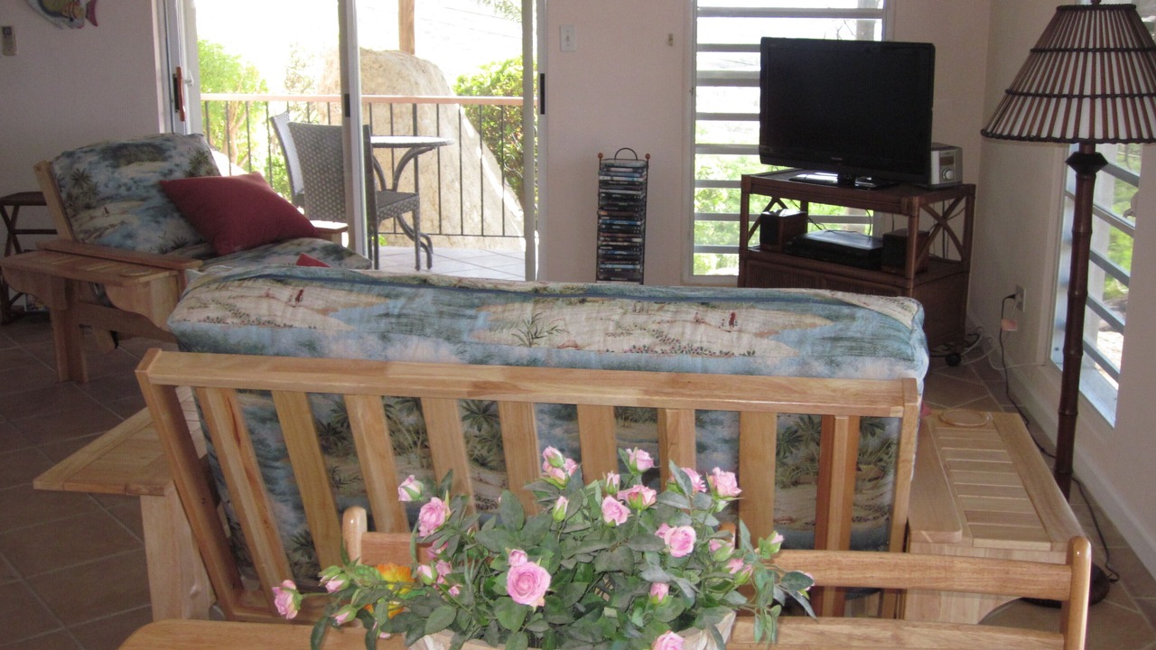 Photo of Livingroom in Estate Bolongo