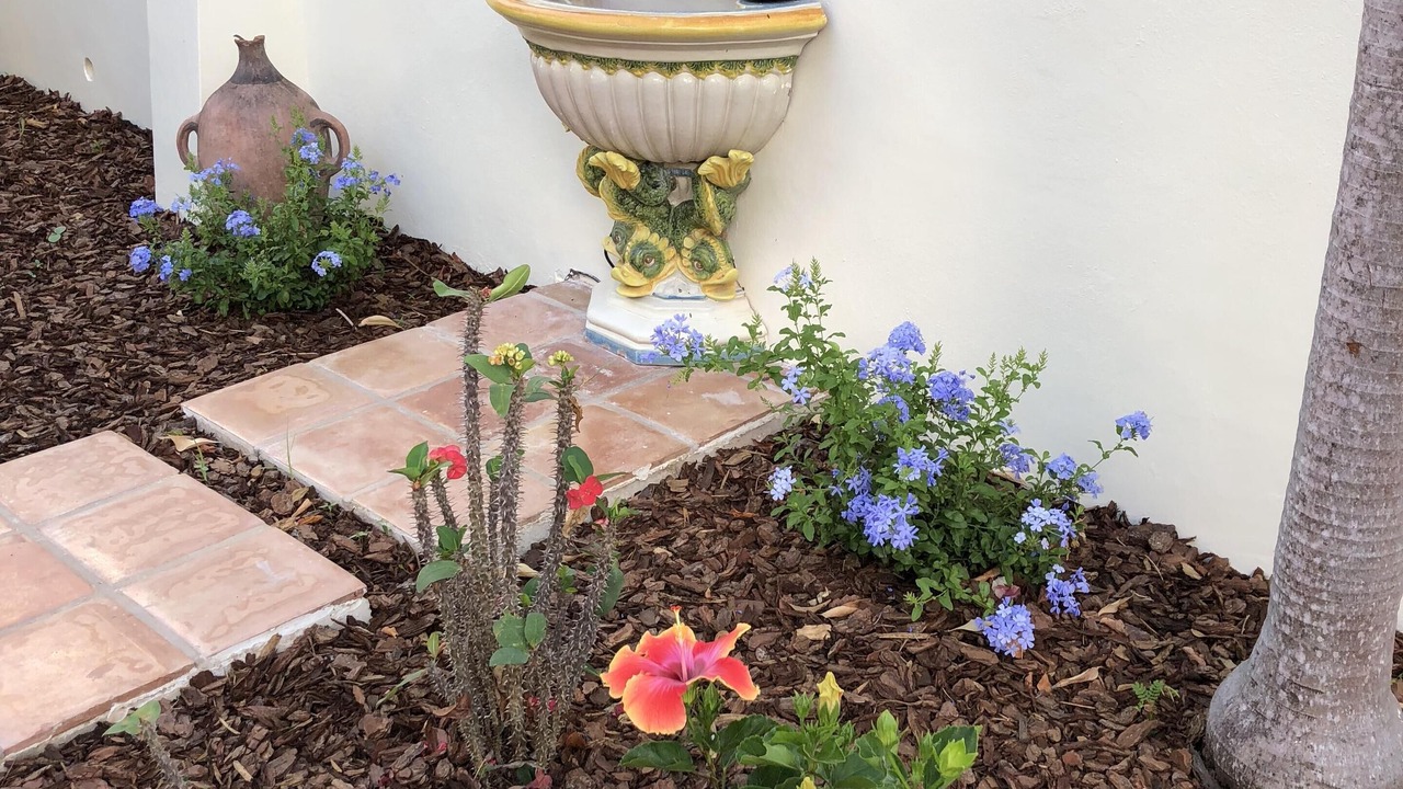 Photo of Outdoor in Estate Peterborg