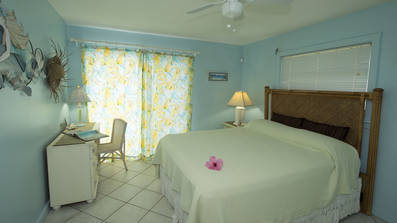 Photo of Bedroom in David Point