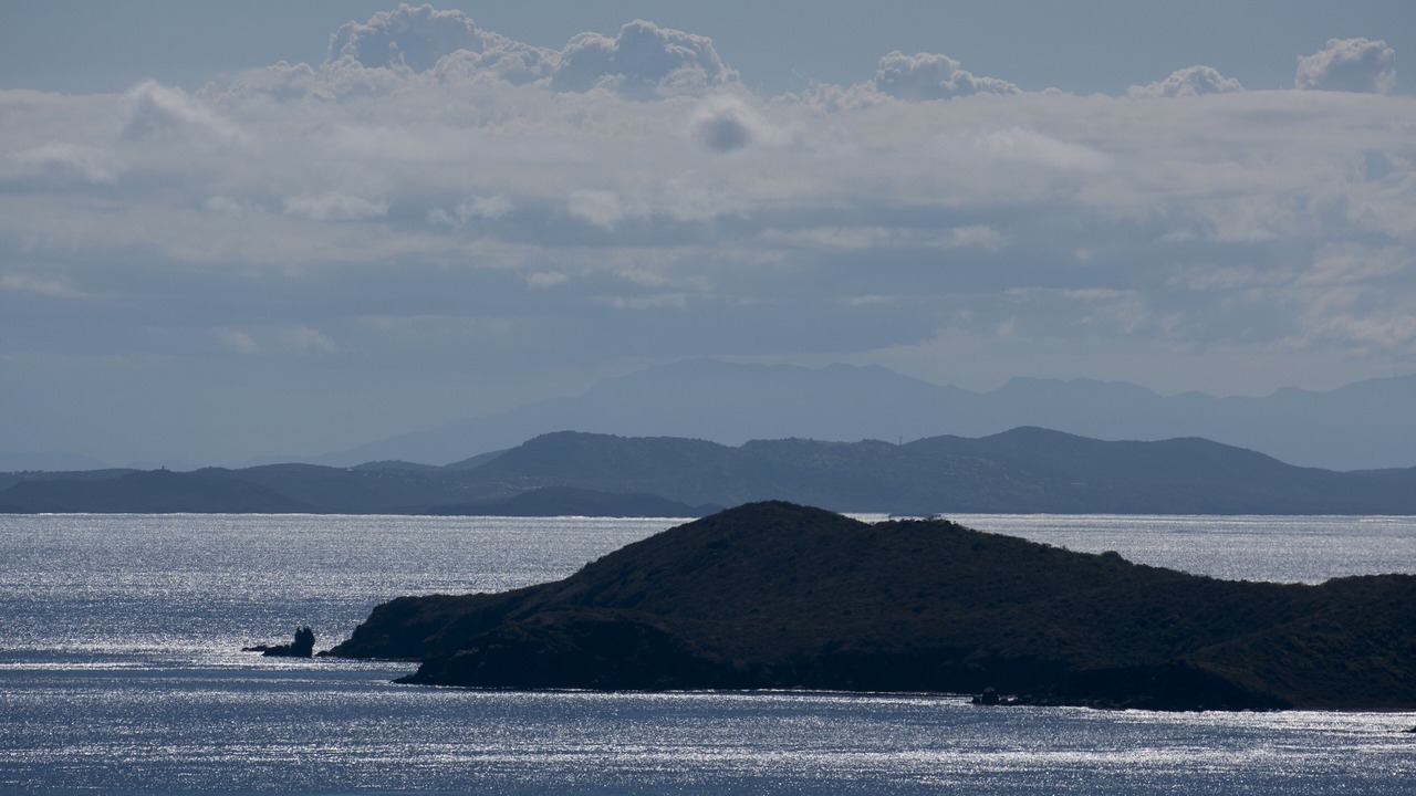 Photo of Others in David Point
