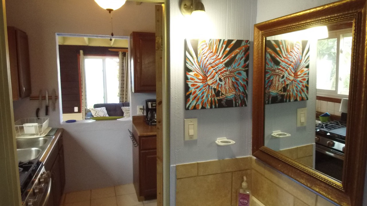 Photo of Kitchen in Estate Belvedere
