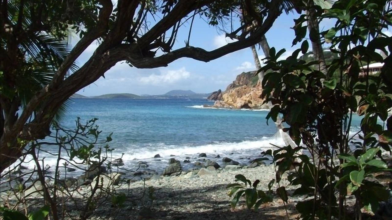 Photo of Others in Hart Bay
