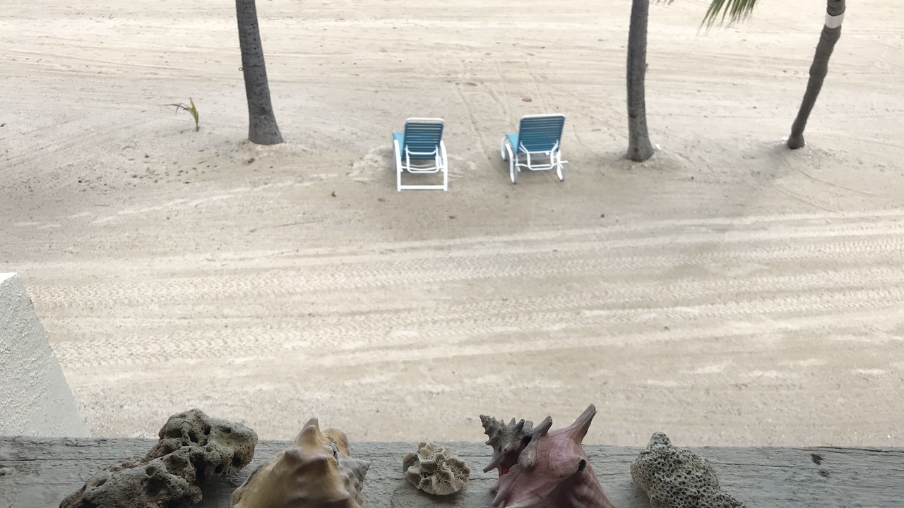Photo of Others in Estate Golden Rock