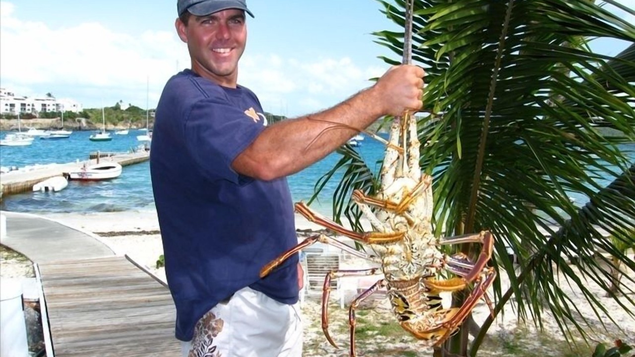 Photo of Others in Bolongo Bay