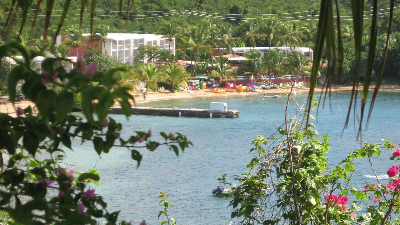 Photo of Others in Bolongo Bay