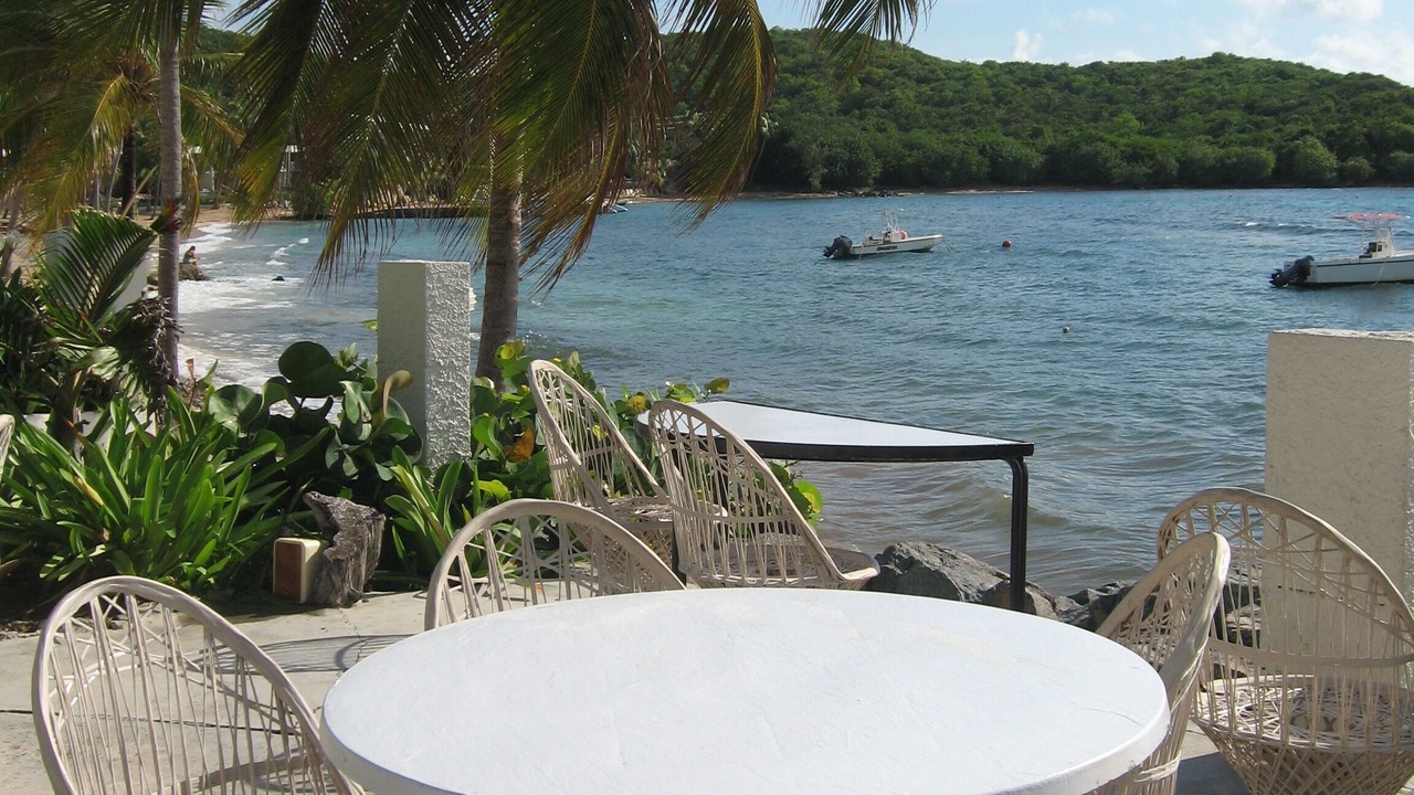 Photo of Others in Bolongo Bay