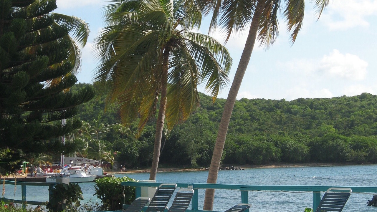 Photo of Outdoor in Bolongo Bay