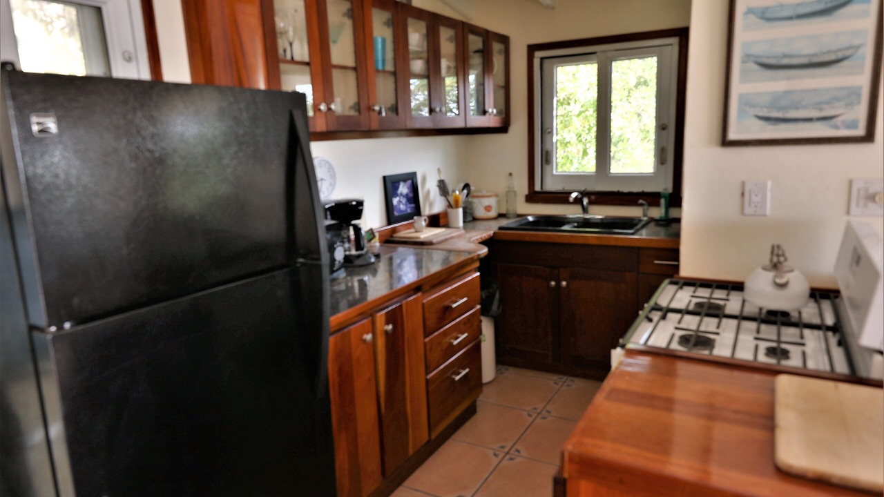 Photo of Kitchen in Red Hook