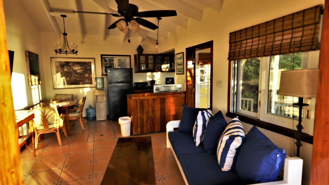 Photo of Livingroom in Red Hook