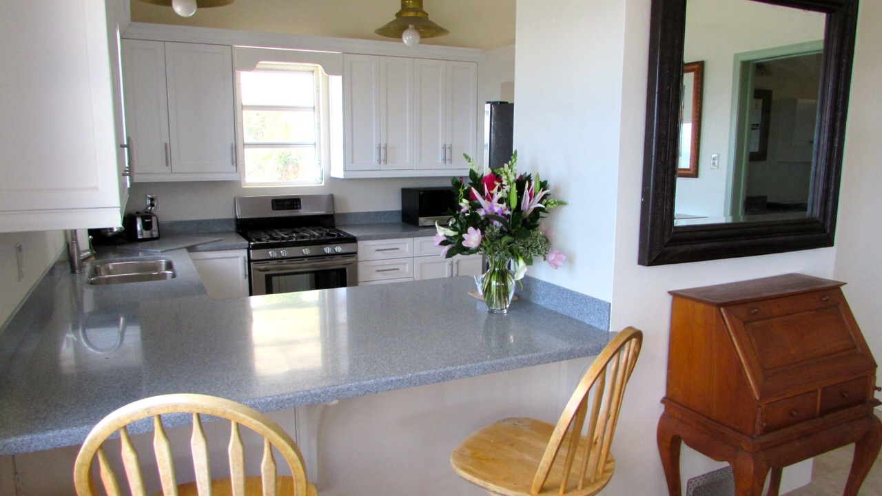 Photo of Kitchen in Red Hook