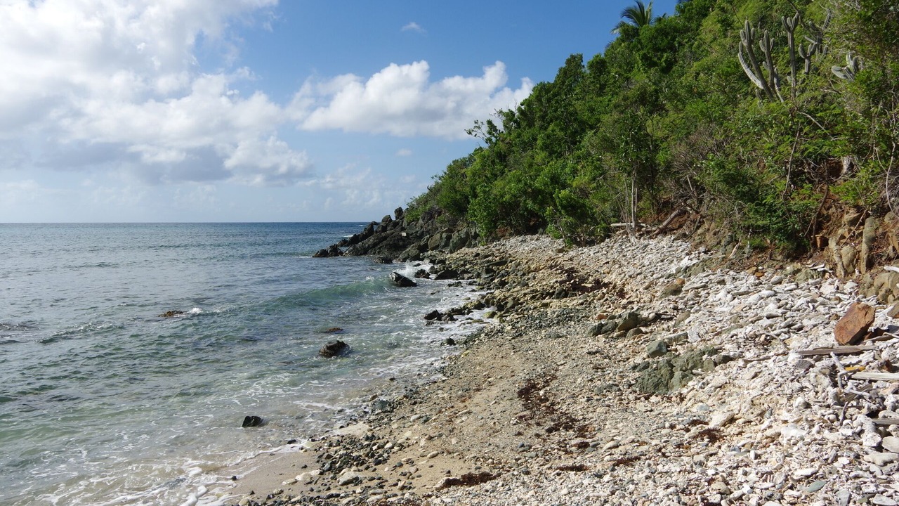 Photo of Others in Monte