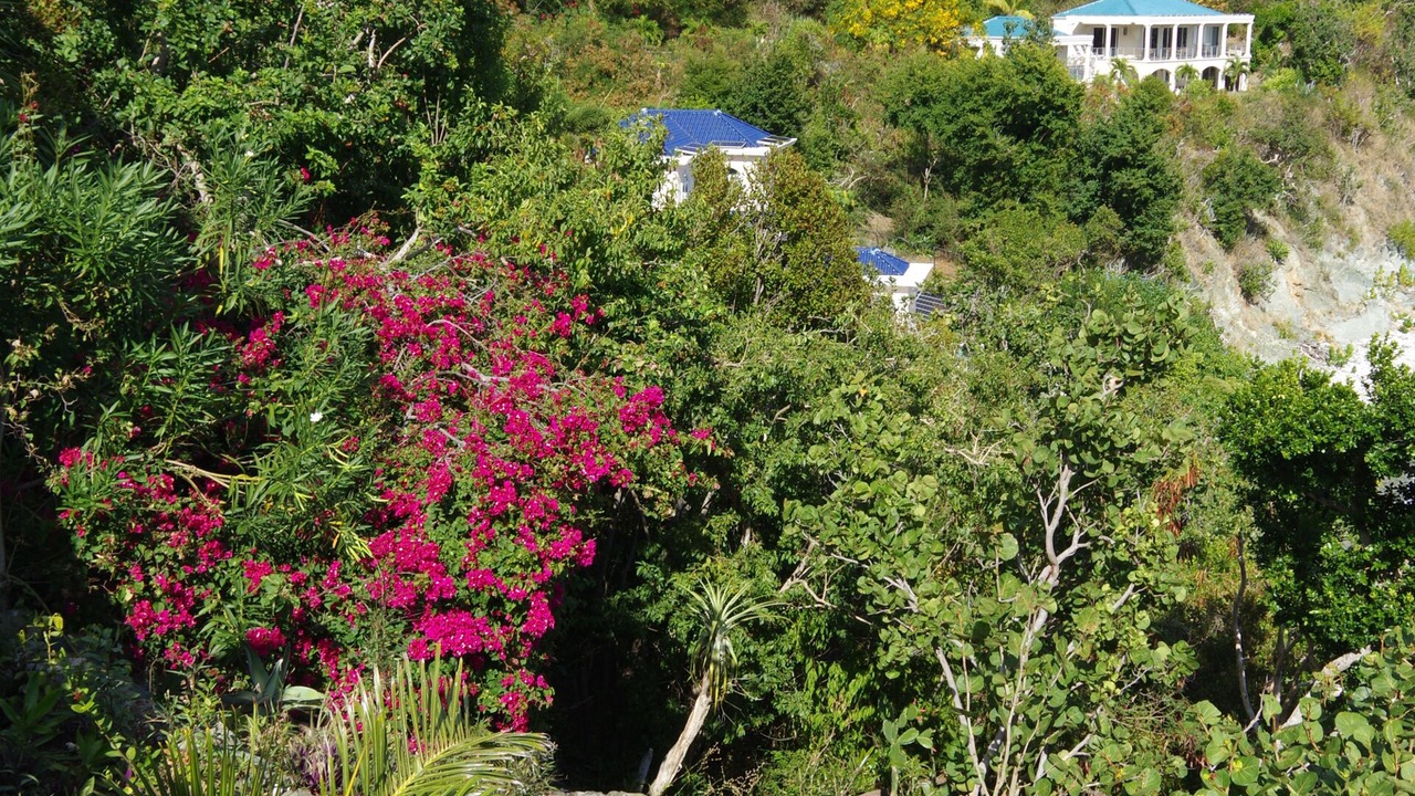 Photo of Outdoor in Monte