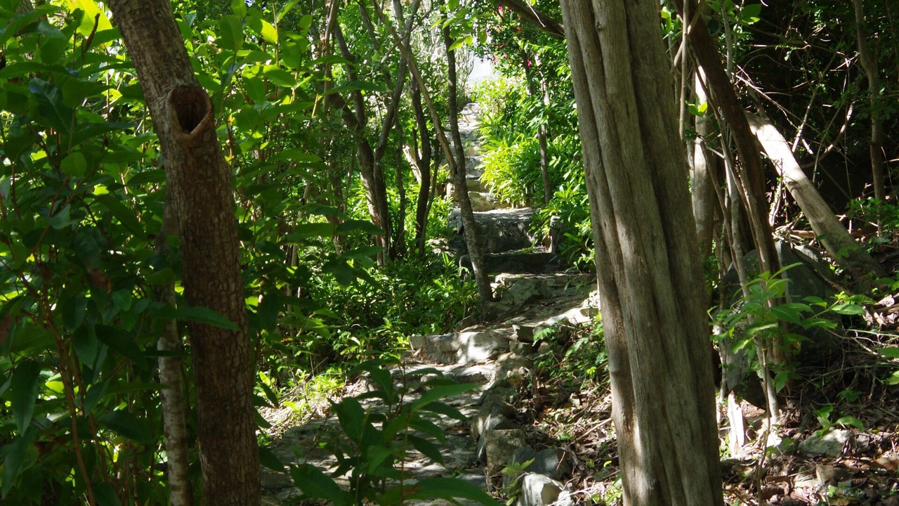 Photo of Outdoor in Monte
