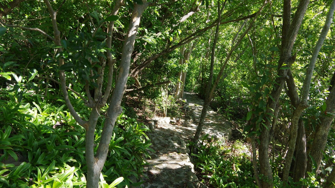 Photo of Outdoor in Monte