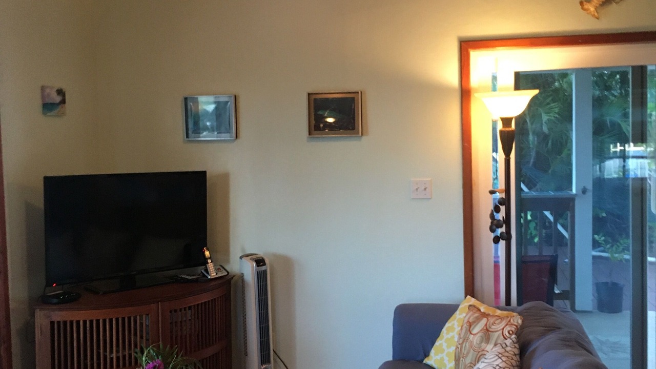 Photo of Livingroom in Seagrape Hill