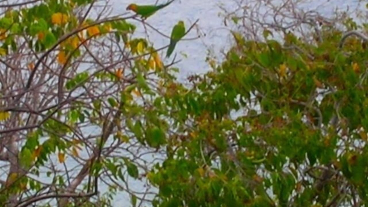 Photo of Others in Peterborg