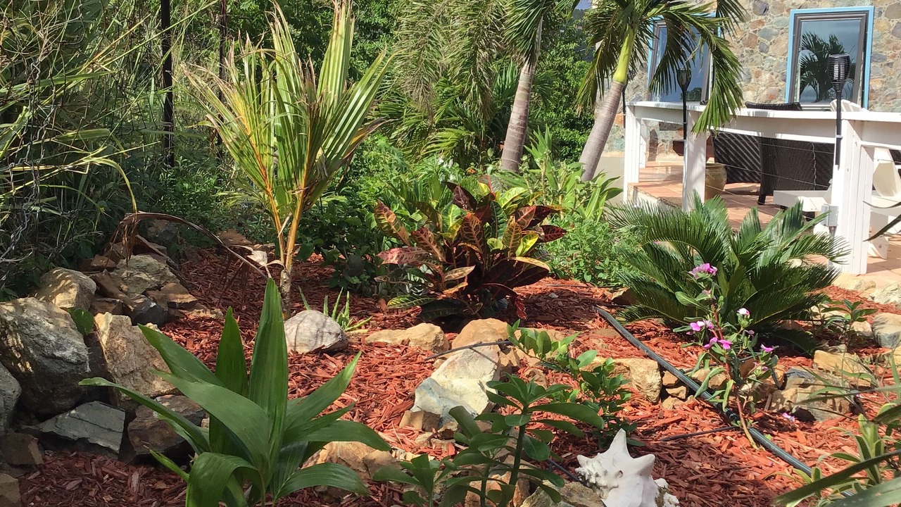 Photo of Outdoor in Lower Carolina