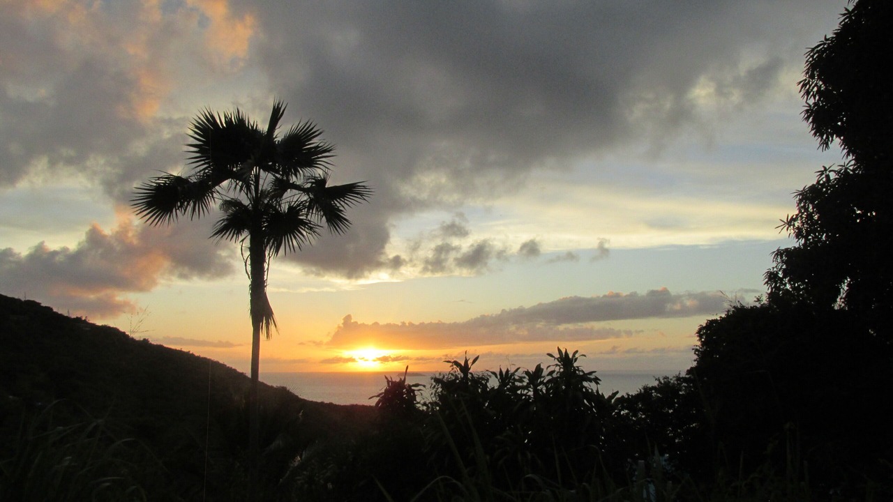 Photo of Others in Caret Bay