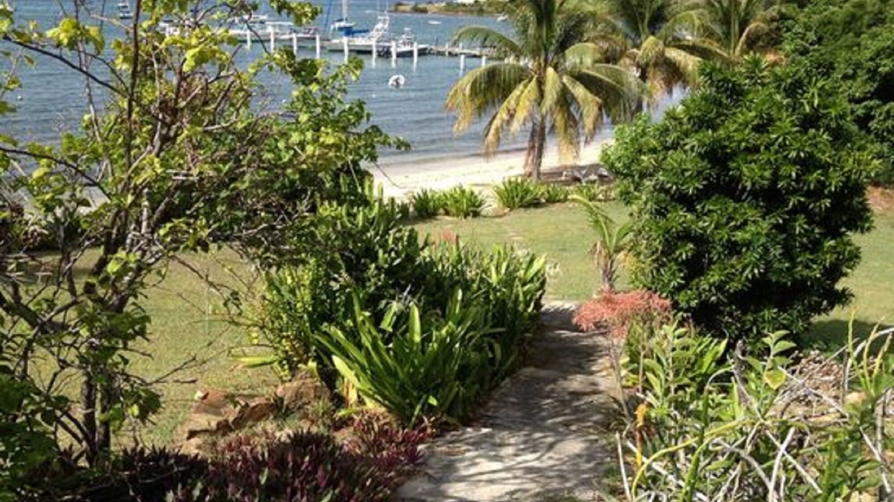 Photo of Outdoor in Slob