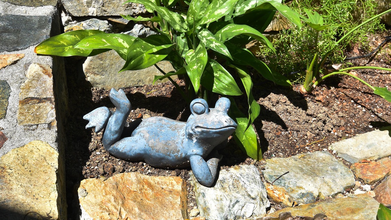 Photo of Outdoor in Estate Carolina