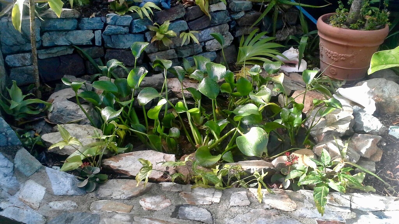 Photo of Others in Estate Carolina