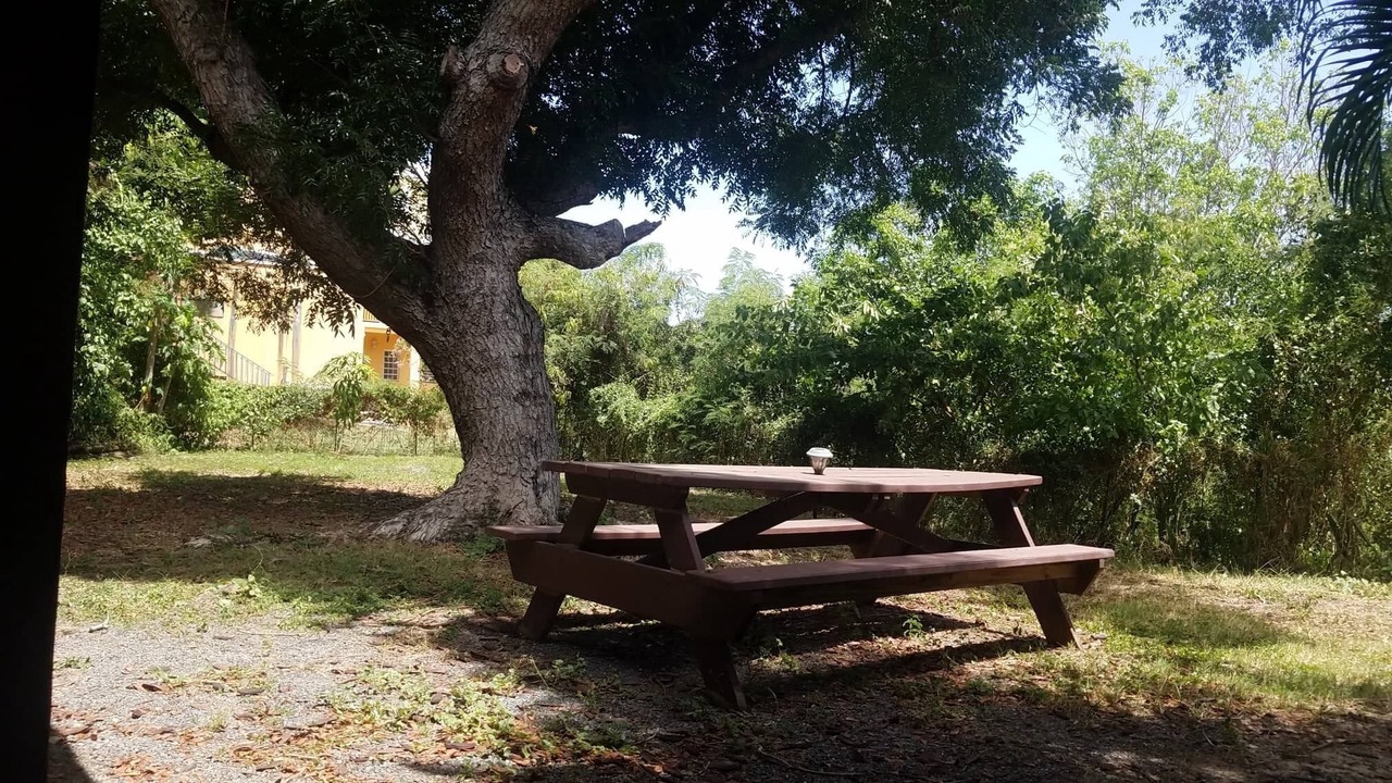 Photo of Outdoor in Orange Grove