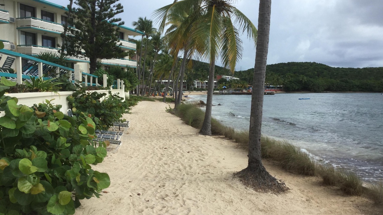 Photo of Others in Bolongo Bay
