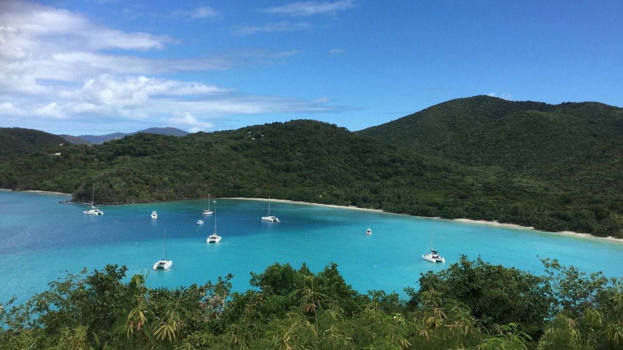 Photo of Others in Bolongo Bay