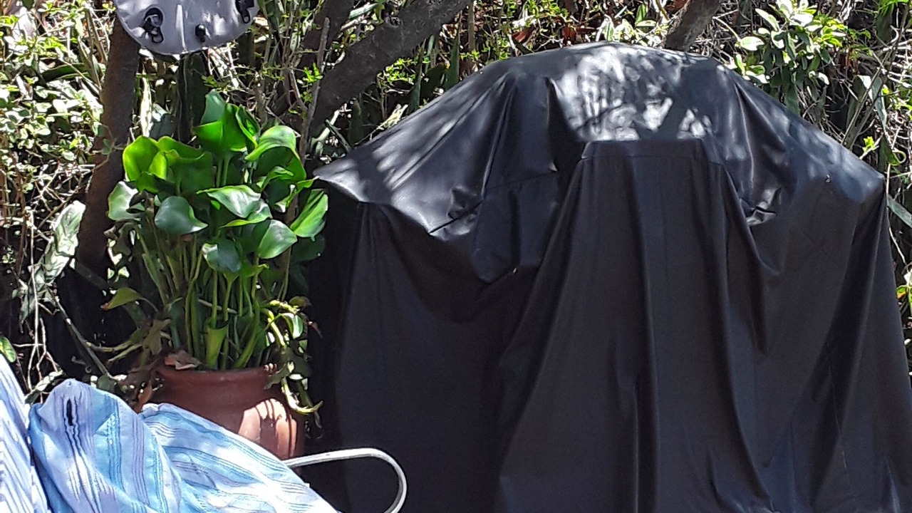 Photo of Others in Estate Saint Quaco and Zimmerman
