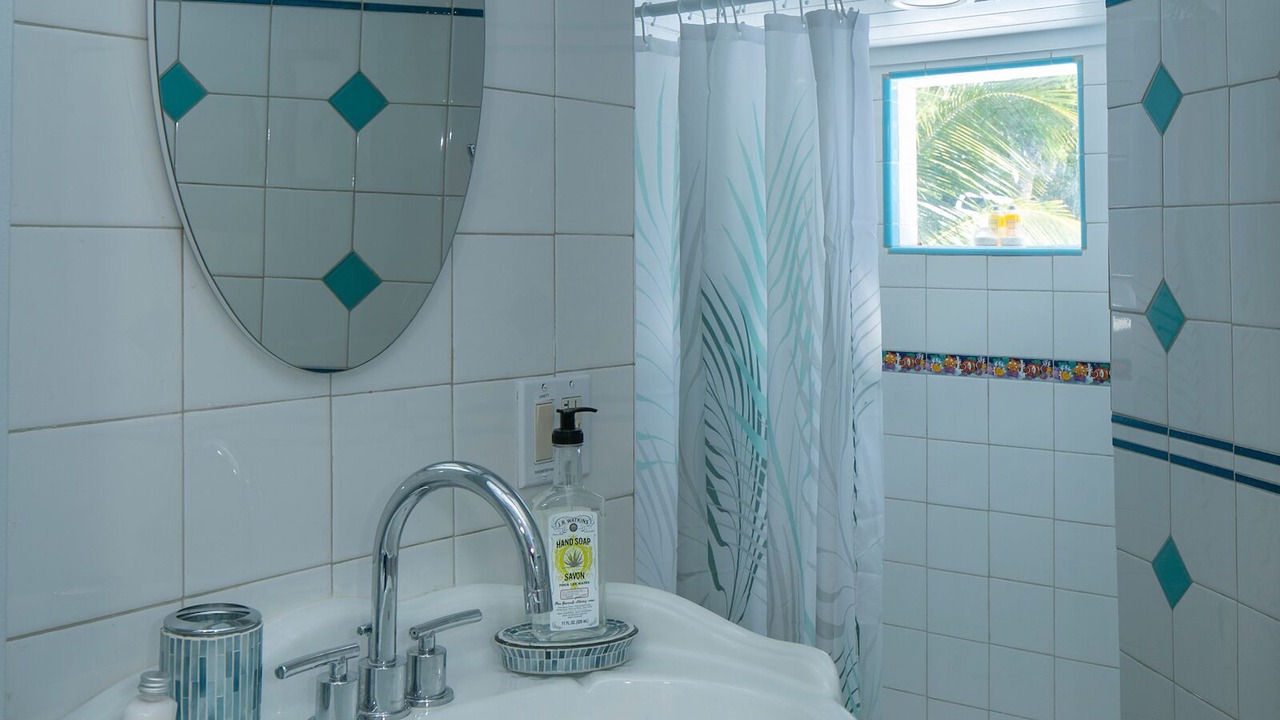 Photo of Bathroom in Estate Chocolate Hole and Great Cruz Bay