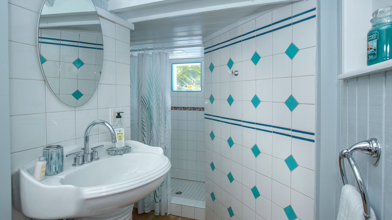 Photo of Bathroom in Estate Chocolate Hole and Great Cruz Bay