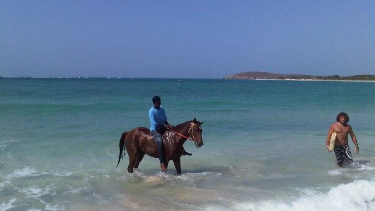 Photo of Others in Estate Little Princess North