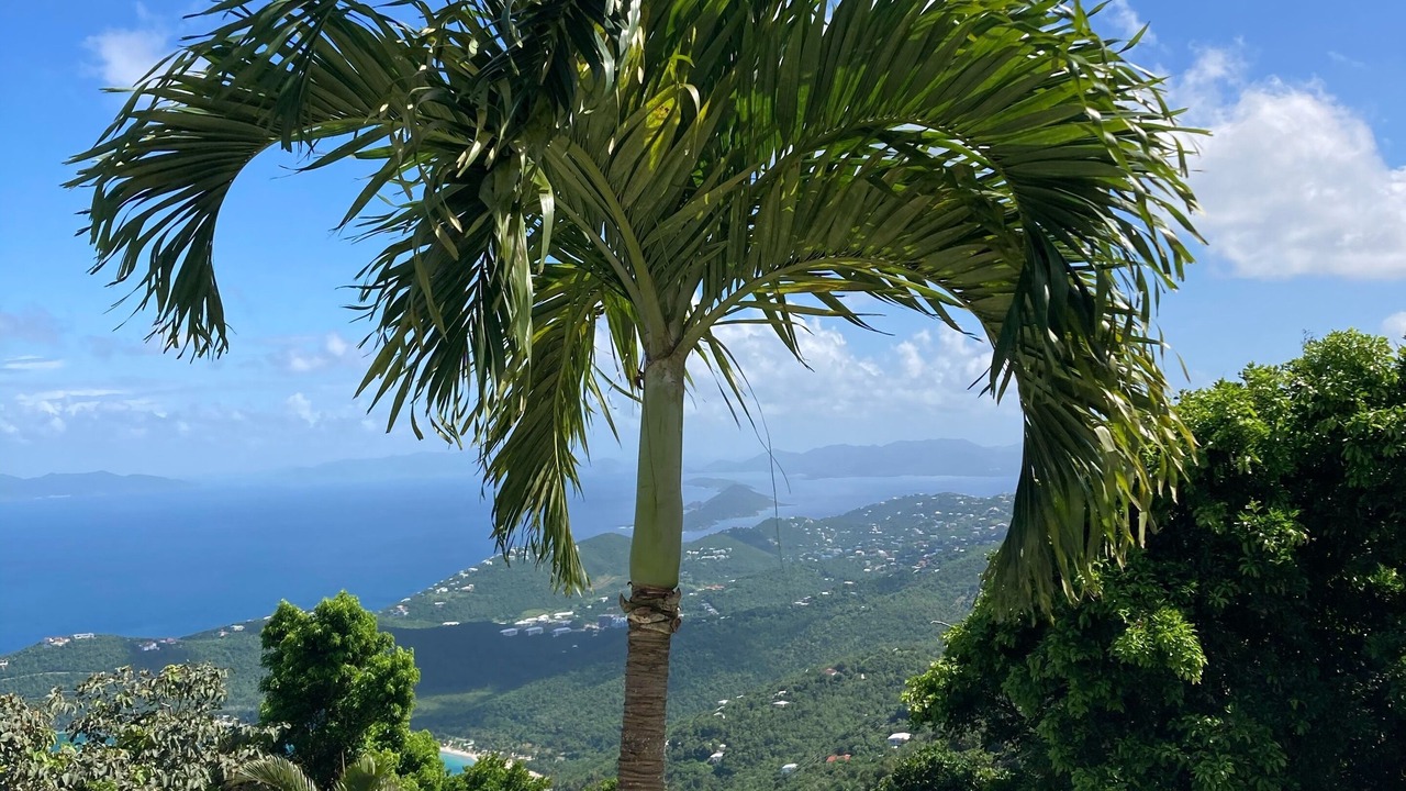 Photo of Outdoor in Estate Solberg