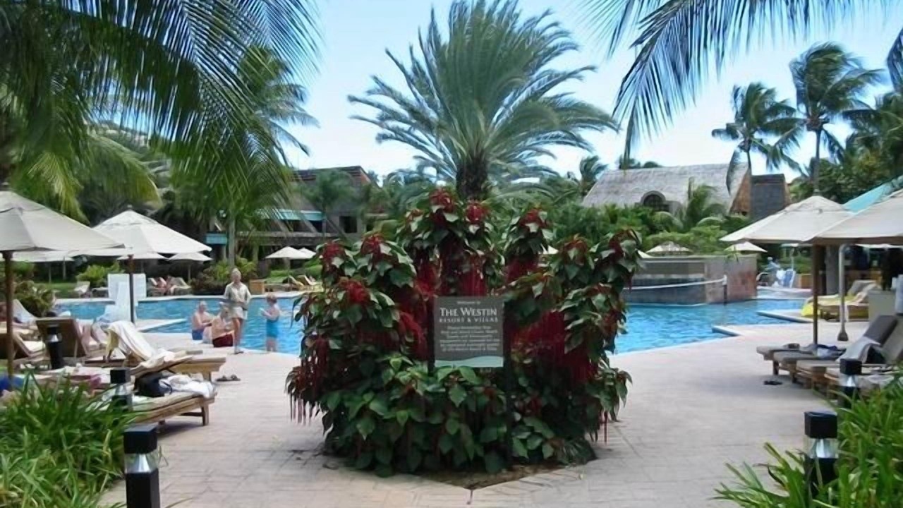 Photo of Outdoor in Estate Enighed